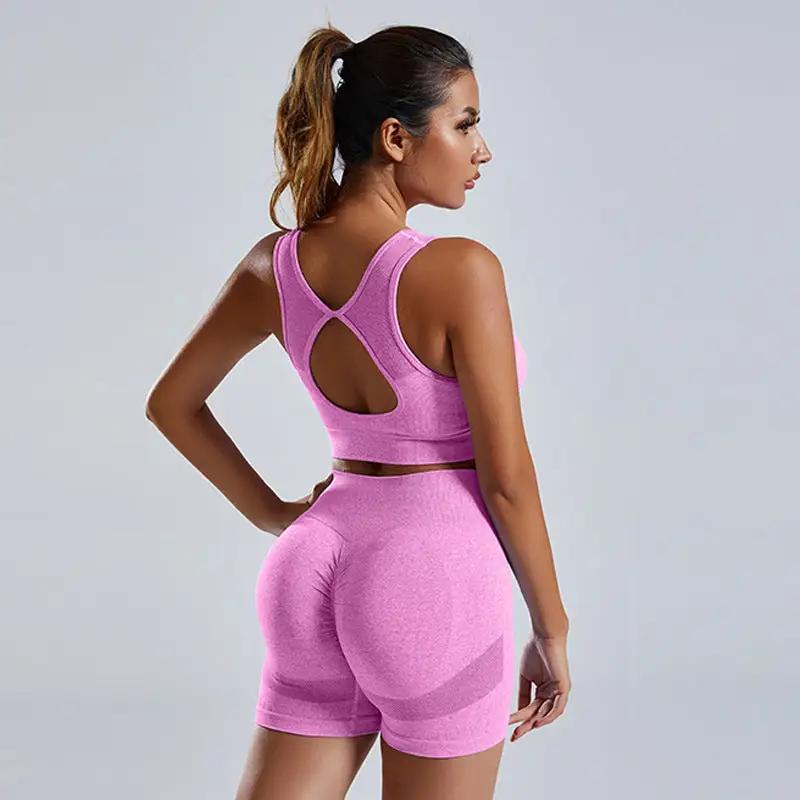 2pcs Yoga Set Women's high waist Vest And Shorts Tracksuit - WILKYs