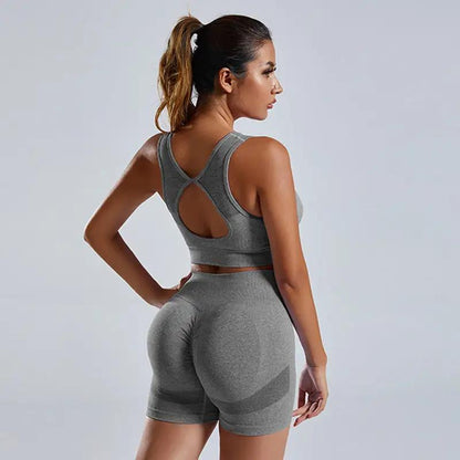 2pcs Yoga Set Women's high waist Vest And Shorts Tracksuit - WILKYs