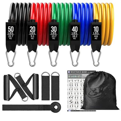 360lbs Fitness Resistance Bands Set – Ultimate Home Workout Kit - WILKYs