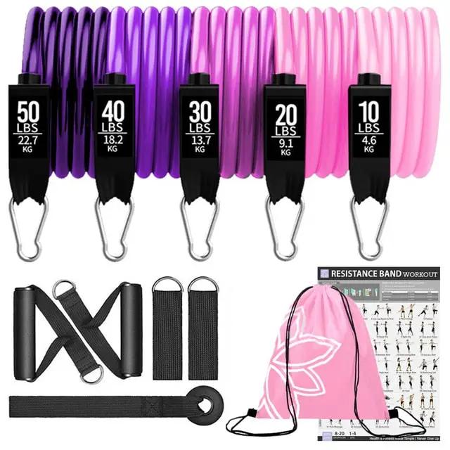 360lbs Fitness Resistance Bands Set – Ultimate Home Workout Kit - WILKYs