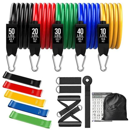 360lbs Fitness Resistance Bands Set – Ultimate Home Workout Kit - WILKYs