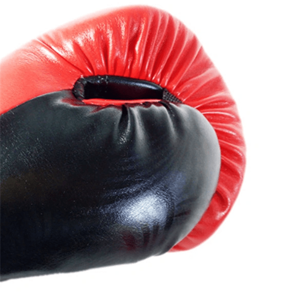 Adult boxing gloves - WILKYs