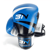 Adult boxing gloves - WILKYs