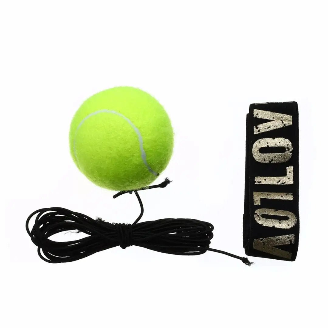 Boxing Reflex Speed Punch Ball MMA Gear Boxing - WILKYs