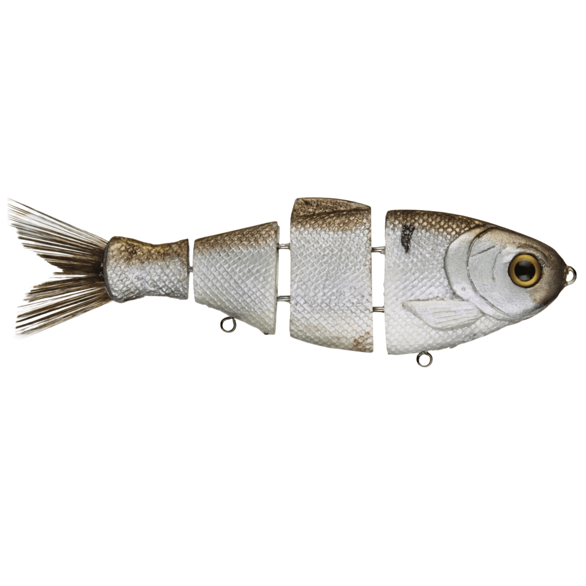 Bull Shad Floating Swimbait - WILKYs