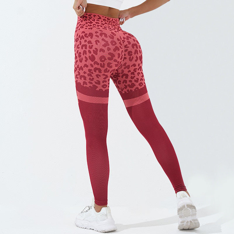 WILKYs4Leopard Print Fitness Pants For Women High Waist Butt Lifting Seamless
 Product information:
 


 Material:Nylon
 
 Style:Fashion Simple
 
 Features:Solid color
 
 Color:picture color


 
 Size Information:
 
 
 


 


 Note:
 
 1. Asi