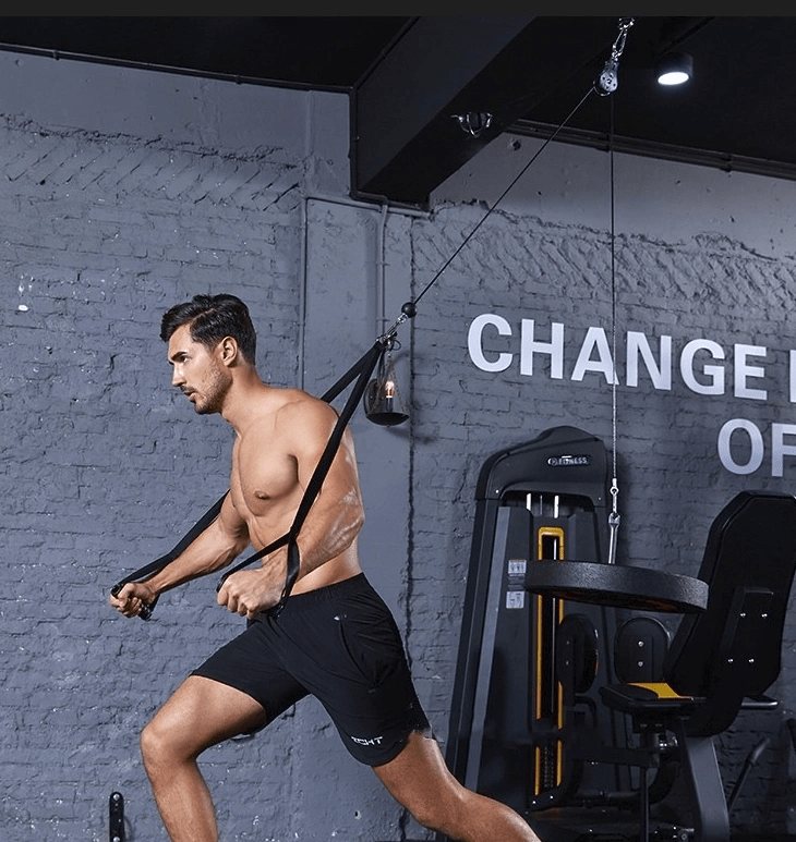 DIY comprehensive fitness trainer - WILKYs