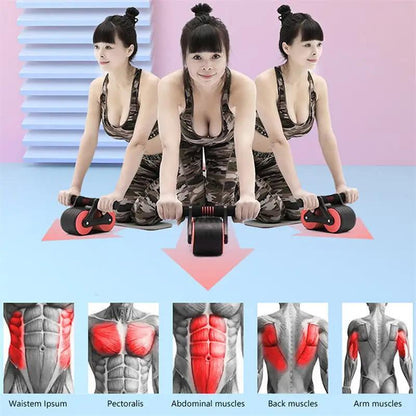 Double Wheel Abdominal Exerciser Women Men Automatic Rebound Ab Wheel Roller Waist Trainer Gym Sports Home Exercise Devices - WILKYs