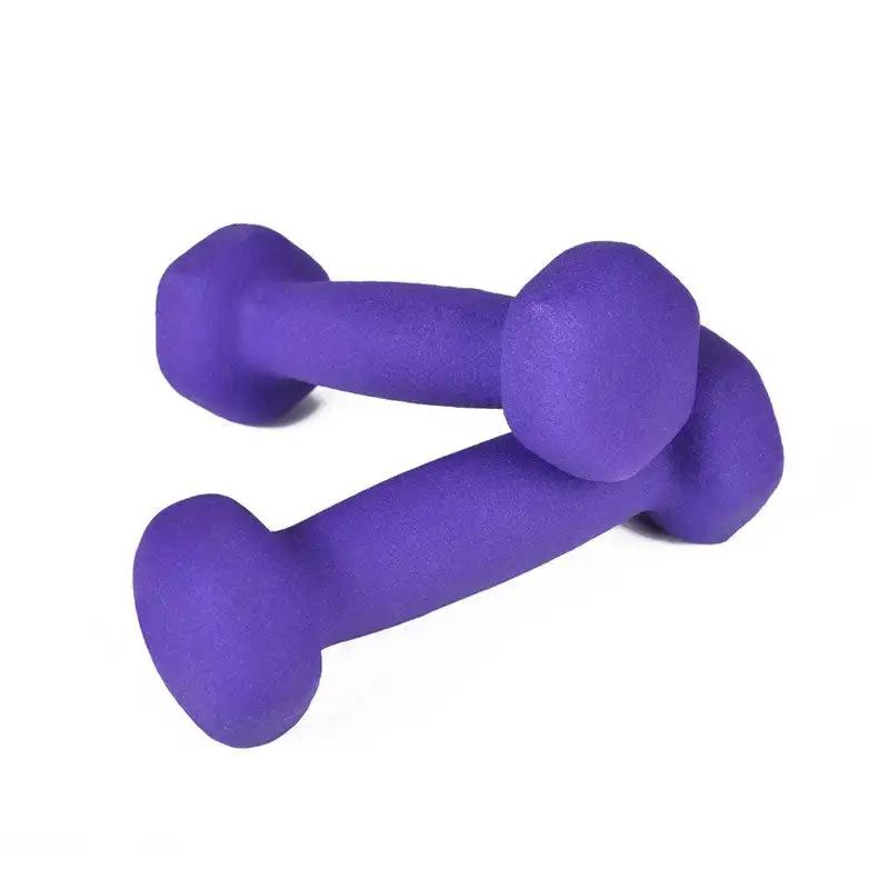 Dumbbell Fitness Home Adjustable Arm Reduction Yoga Small Solid Barbell - WILKYs