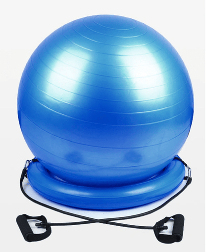 Explosion - proof yoga ball fixed base - WILKYs