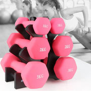 Fitness dumbbell rack - WILKYs