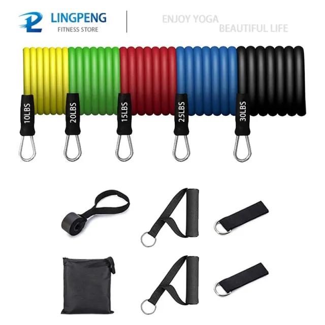 Fitness Resistance Elastic Bands Set – 5 Levels for Full - Body Training - WILKYs