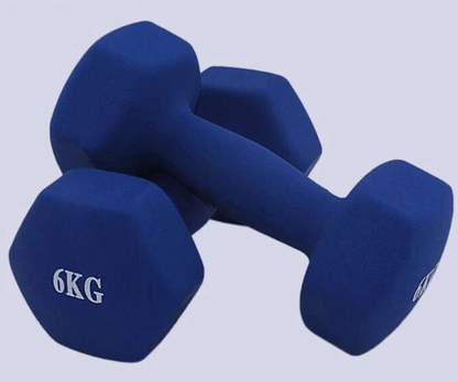Fitness yoga dumbbell - WILKYs