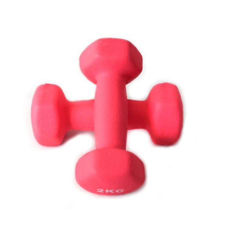 Fitness yoga dumbbell - WILKYs