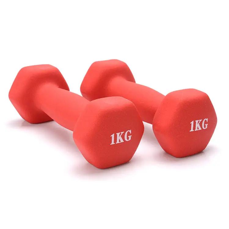 Fitness yoga dumbbell - WILKYs