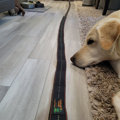 Huggers Tree Straps – Tree - Friendly Hammock Suspension, 2,000 lb Capacity - WILKYs