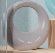 Ladies Fitness Dumbbell Slimming Body Shaping Exercise Fitness Equipment - WILKYs