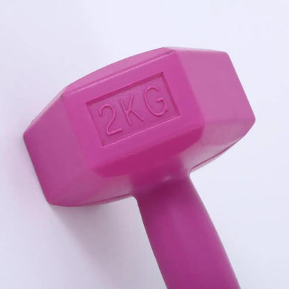 Ladies Gym Aerobics Filling Sand Hexagon Dumbbell - WILKYs