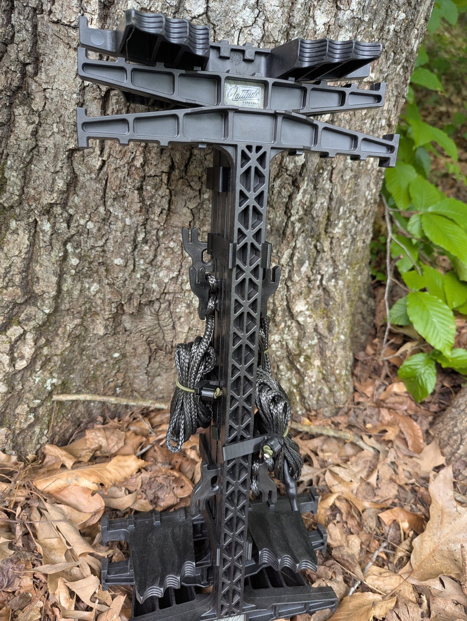 Latitude Carbon SS Stick Wranglers - WILKYs