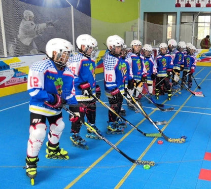 Leyi Roy Real Ice on Land Dry Land Ice Hockey Hockey Hockey Ball Competition Practice Ball Flat Ball Cake - WILKYs