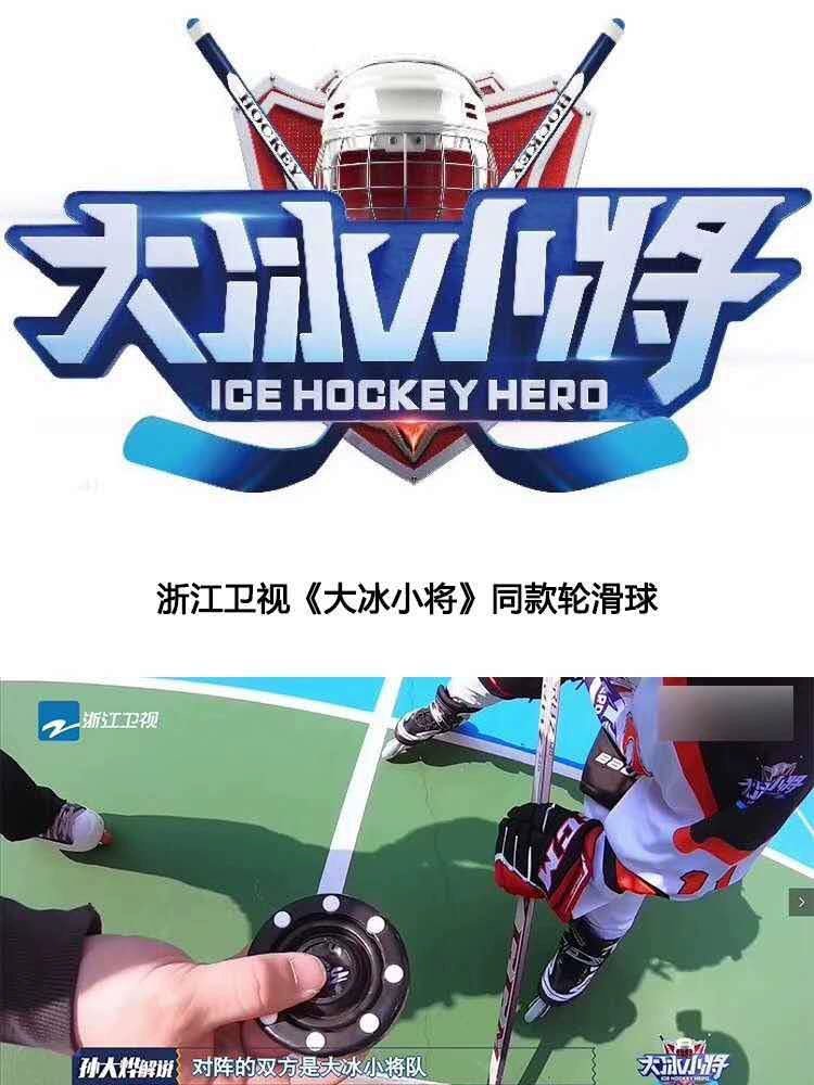 Leyi Roy Real Ice on Land Dry Land Ice Hockey Hockey Hockey Ball Competition Practice Ball Flat Ball Cake - WILKYs