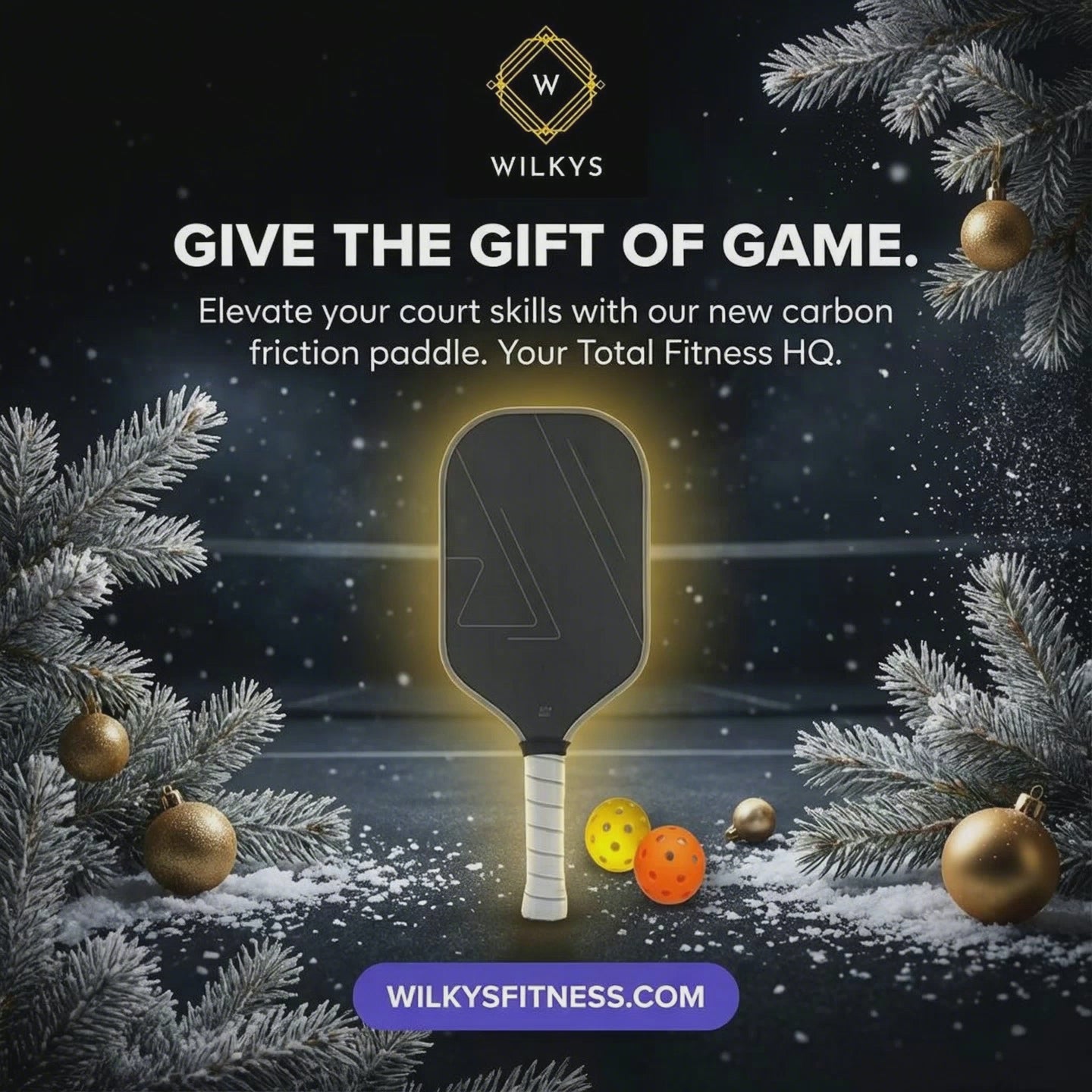 WILKYS Pickleball Paddle