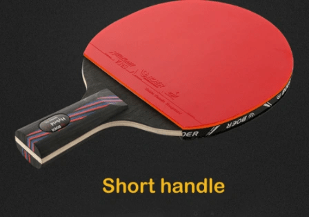 Professional training game table tennis racket - WILKYs