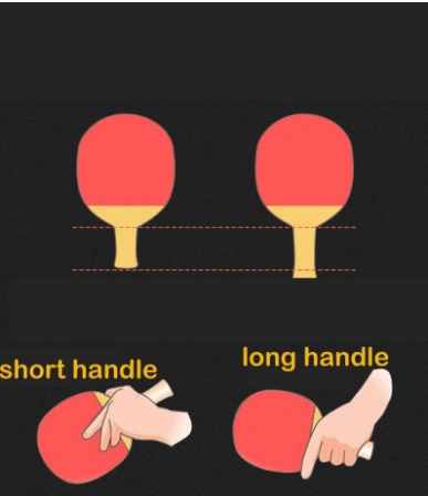 Professional training game table tennis racket - WILKYs