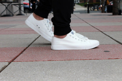Retro Low Top All White Casual Summer Sneaker SB Canvas Shoes Unisex Size - WILKYs