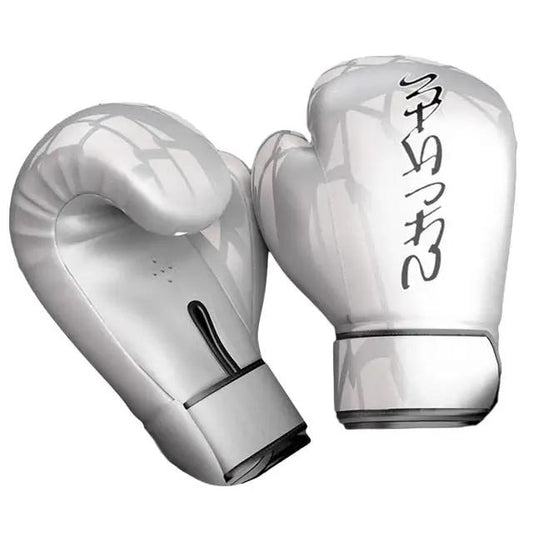 Silver Boxing Gloves - WILKYs