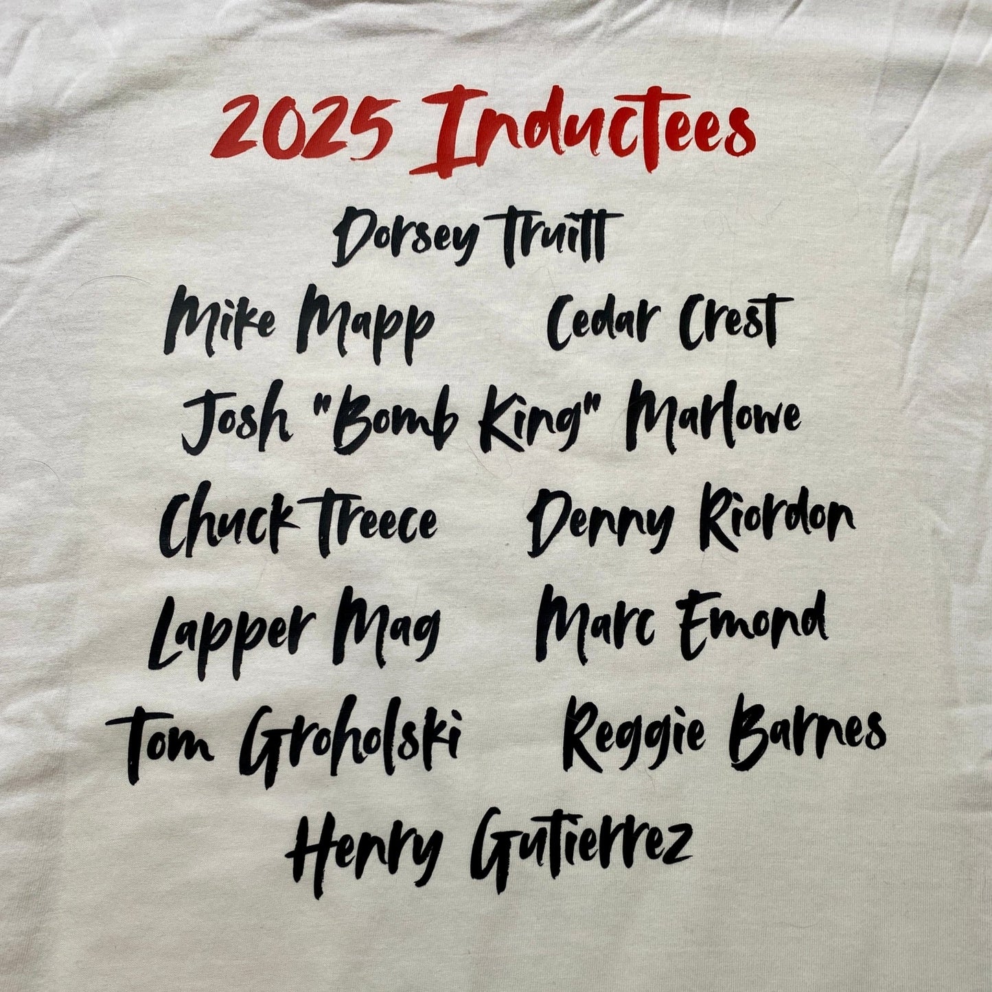Skateboard Hall of Fame 2025 Inductees Shirt or Hoodie - WILKYs