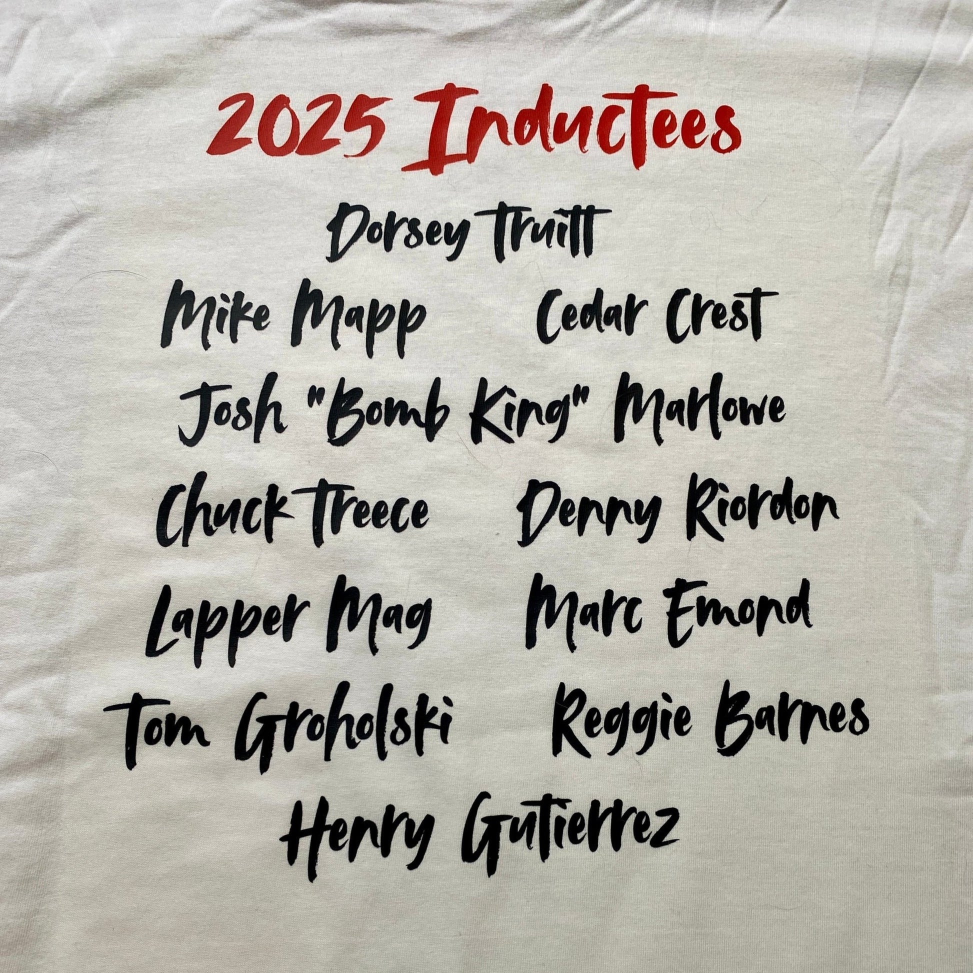Skateboard Hall of Fame 2025 Inductees Shirt or Hoodie - WILKYs