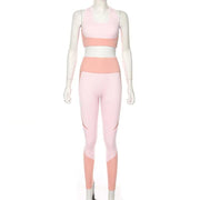 Slim Seamless Yoga Fitness Set - WILKYs