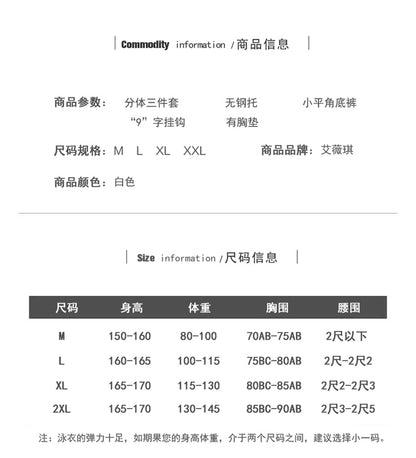 Split Swimsuit Women Sexy Summer Pure Desire Ethnic Style High end Beautiful Popular 2024 New High Sense - WILKYs