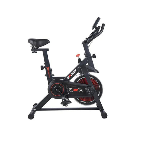 Sports Exercise Bike Indoor Silent - WILKYs