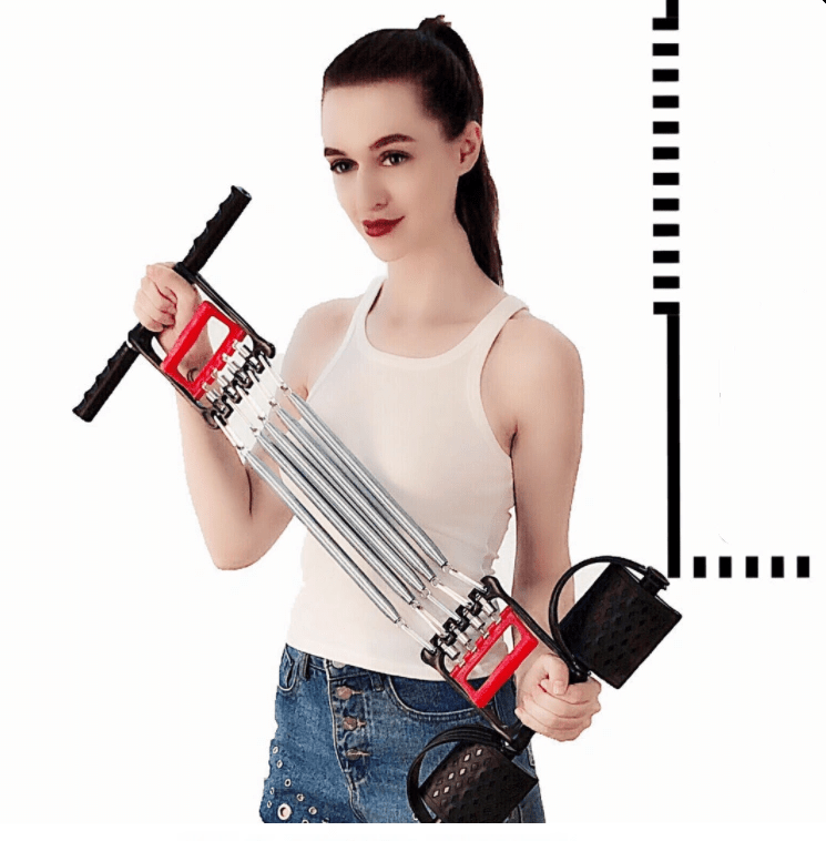 Spring Chest Developer - WILKYs