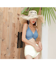 Swimsuit Female New New Two - Piece Suit Sexy Separates Bikini High Waist Cover Your Belly and Gather Your Breasts Hot Spring Swimwear - WILKYs