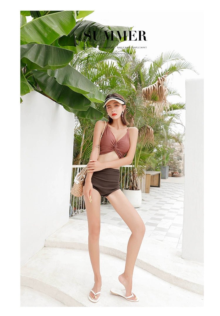 Swimsuit Female New New Two - Piece Suit Sexy Separates Bikini High Waist Cover Your Belly and Gather Your Breasts Hot Spring Swimwear - WILKYs