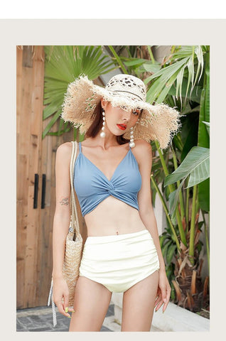 Swimsuit Female New New Two - Piece Suit Sexy Separates Bikini High Waist Cover Your Belly and Gather Your Breasts Hot Spring Swimwear - WILKYs