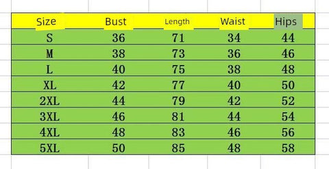 Swimsuit plus Size Bikini Swimwear Swimming Suit Women 5XL - WILKYs