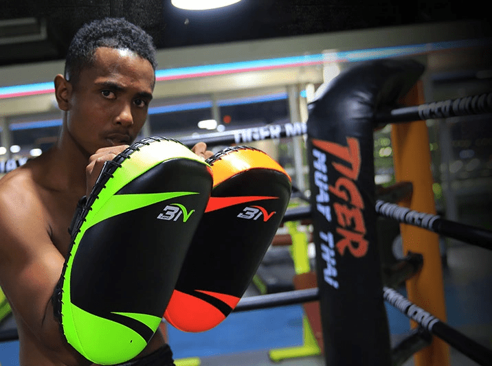 Taekwondo boxing protective gear target - WILKYs