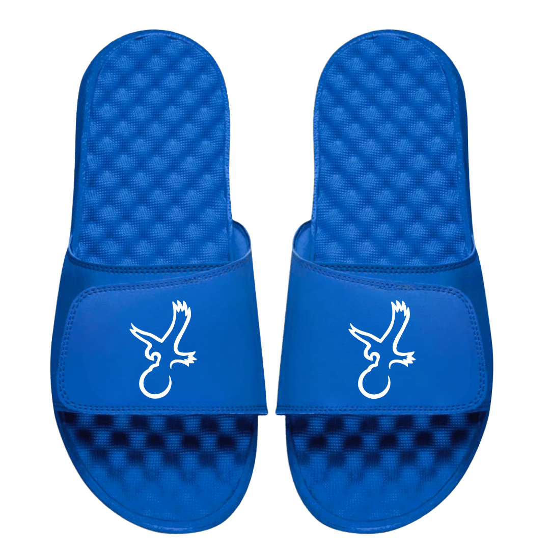 Talon Eagle Slides - WILKYs