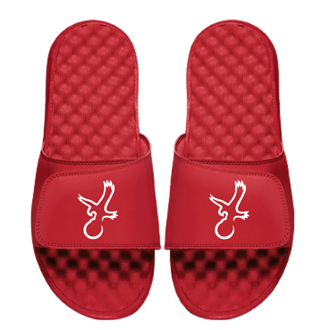 Talon Eagle Slides - WILKYs