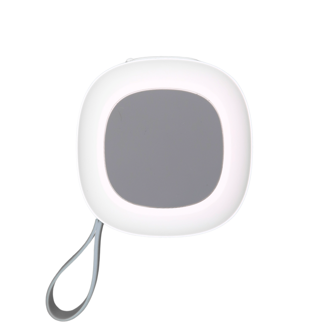 The Eagle Bluetooth Magnetic Speaker - WILKYs