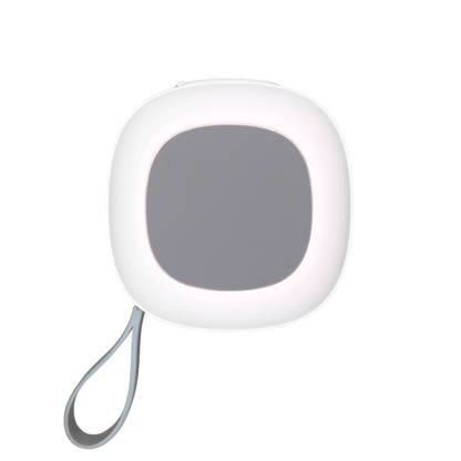 The Eagle Bluetooth Magnetic Speaker - WILKYs