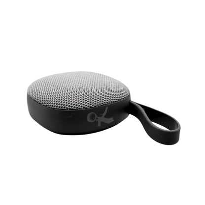 The Eagle Bluetooth Magnetic Speaker - WILKYs