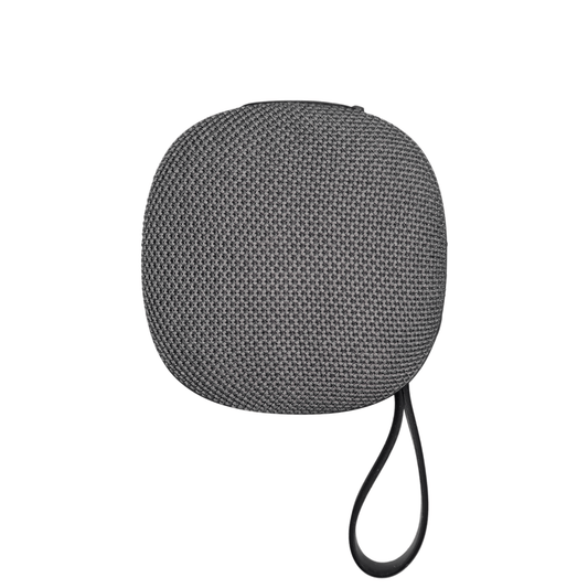 The Eagle Bluetooth Magnetic Speaker - WILKYs