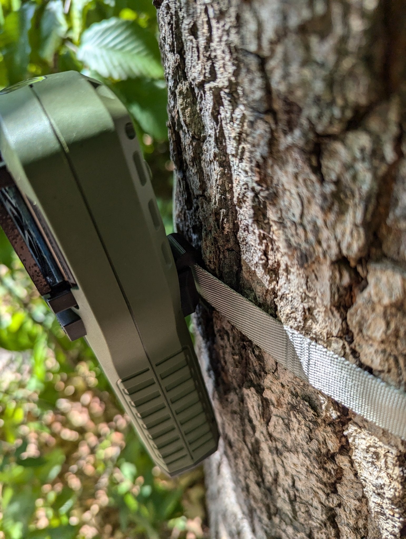 Thermacell Caddy - Tree or Pack Mount - WILKYs