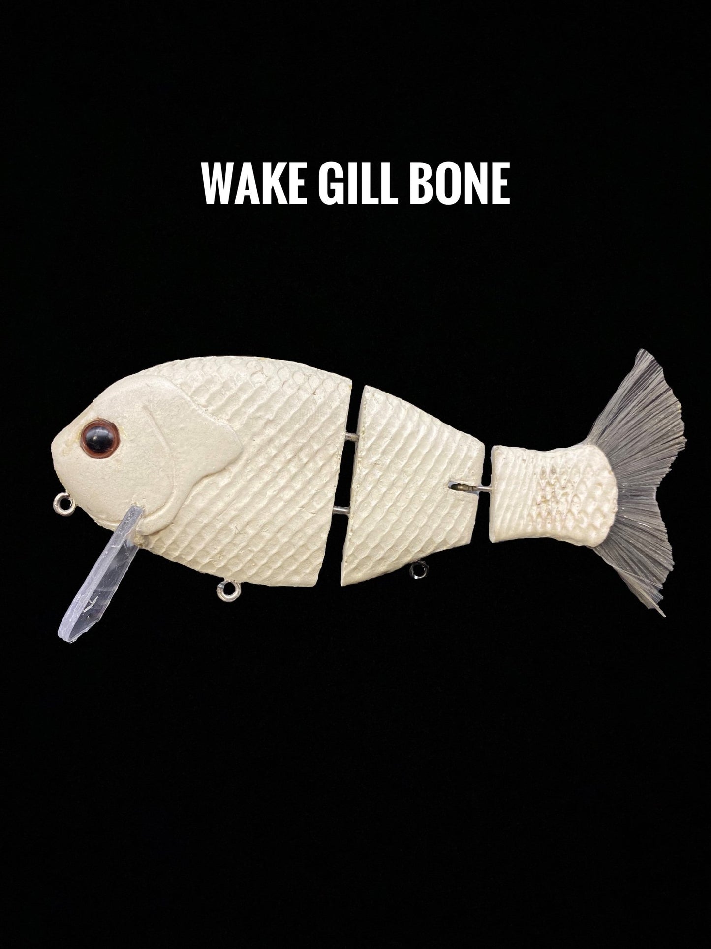 Wake Gill - WILKYs