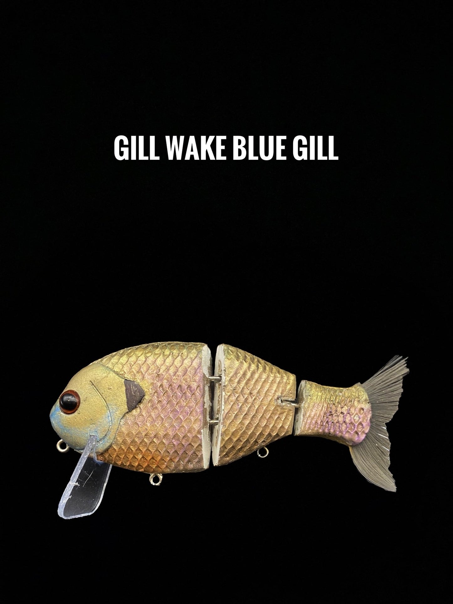 Wake Gill - WILKYs